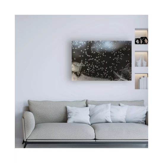 Top 10 π₯ My Home Neapolitan 43 Vertical Beveled Mirror White β¨