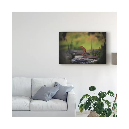 Budget 🔥 Trademark Global Christine Sainte-Laudy My Friend The Moon Canvas Art - 15 X 20 Multi ❤️ - Image 4