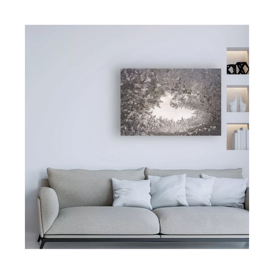 Best Pirce 𧨠Trademark Global Kurt Shaffer Photographs Ice Crystal Mosaic On My Window Canvas Art - 27 X 33.5 Multi π― - Image 4