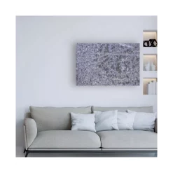 Hot Sale π Trademark Global Philippe Sainte-Laudy My Beautiful Fir Tree Canvas Art - 15 X 20 Multi π