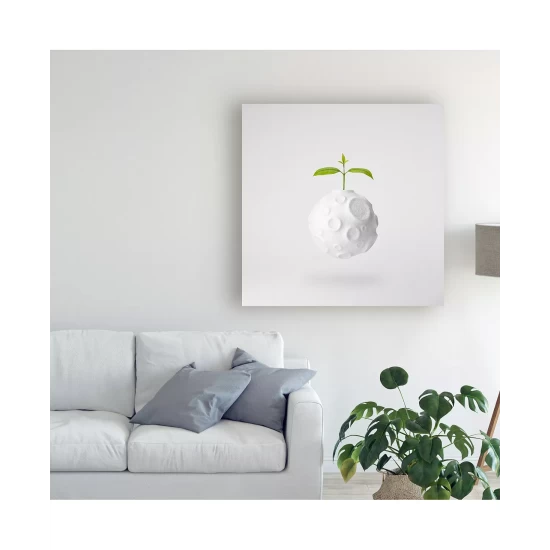 Buy π₯ Trademark Global Kurt Shaffer Photographs Ice Crystal Mosaic On My Window Canvas Art - 15.5 X 21 Multi π