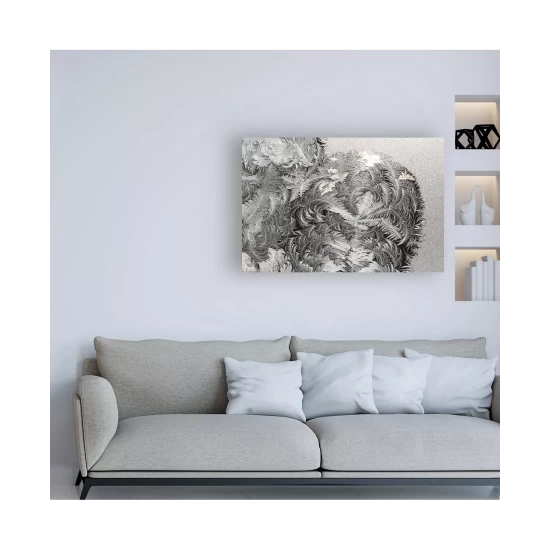 Deals π Cole & Mason Duo Oil & Vinegar Dispenser No Color π― - Image 4