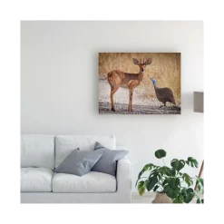 Wholesale 😉 Trademark Global Philippe Sainte-Laudy My Beautiful Fir Tree Canvas Art - 15 X 20 Multi 🔔