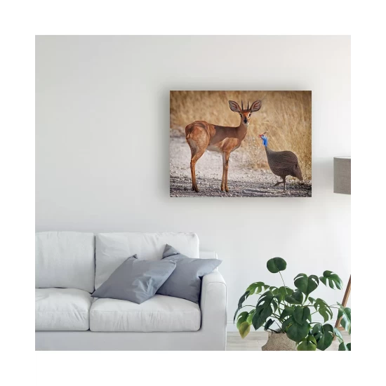 Wholesale π Trademark Global Philippe Sainte-Laudy My Beautiful Fir Tree Canvas Art - 15 X 20 Multi π