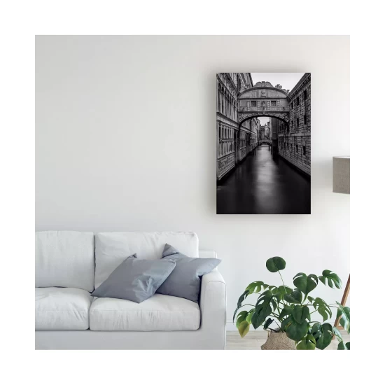 New ❤️ Trademark Global Danny Head B&W Bridge Of Sighs Canvas Art - 19.5 X 26 Multi ⭐ - Image 4