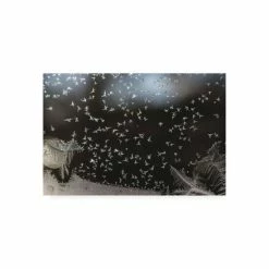Coupon 🔥 Trademark Global Kurt Shaffer Photographs Like A Flock Of Birds Ice Crystals On My Window Canvas Art - 19.5 X 26 Multi ✔️