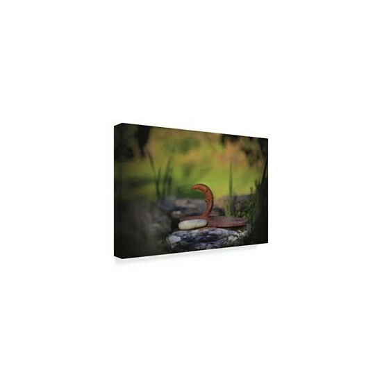 Budget 🔥 Trademark Global Christine Sainte-Laudy My Friend The Moon Canvas Art - 15 X 20 Multi ❤️ - Image 2