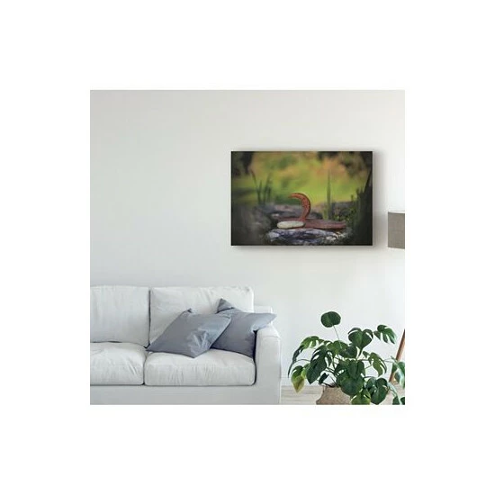 Budget 🔥 Trademark Global Christine Sainte-Laudy My Friend The Moon Canvas Art - 15 X 20 Multi ❤️ - Image 3