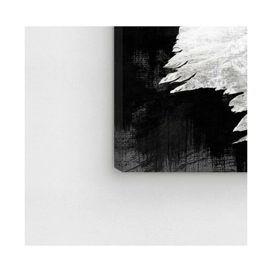 Brand new π Oliver Gal My Night Wings Canvas Art - 16 X 16 X 1.5 Black β - Image 4