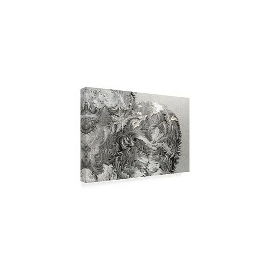 Best reviews of π― Trademark Global Kurt Shaffer Photographs Paisley Ice Patterns On My Window Canvas Art - 15.5 X 21 Multi β€οΈ - Image 2