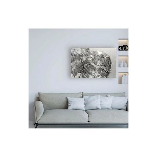 Best reviews of π― Trademark Global Kurt Shaffer Photographs Paisley Ice Patterns On My Window Canvas Art - 15.5 X 21 Multi β€οΈ - Image 3