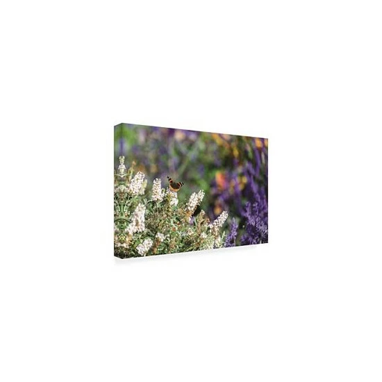 Budget π Trademark Global Kurt Shaffer Butterfly In My Garden 2 Canvas Art - 15 X 20 Multi 𧨠- Image 2