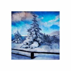 Deals 💯 Trademark Global Philippe Sainte-Laudy My Beautiful Fir Tree Canvas Art - 20 X 25 Multi 😉