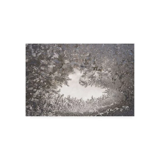Best Pirce 𧨠Trademark Global Kurt Shaffer Photographs Ice Crystal Mosaic On My Window Canvas Art - 27 X 33.5 Multi π―
