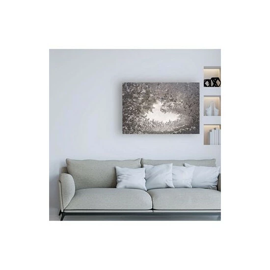 Best Pirce 𧨠Trademark Global Kurt Shaffer Photographs Ice Crystal Mosaic On My Window Canvas Art - 27 X 33.5 Multi π― - Image 3