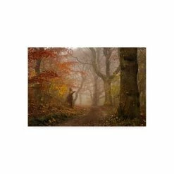 Outlet π Trademark Global Leif Londal My Autumn Walk Canvas Art - 15 X 20 Multi βοΈ