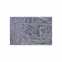 Brand new 𧨠Trademark Global Kurt Shaffer Photographs Natures Abstract On My Window Canvas Art - 15.5 X 21 Multi π