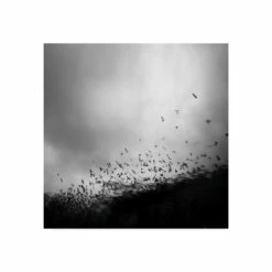 Flash Sale 🔔 Trademark Global Andy Lee Without My Whole World Canvas Art - 15 X 20 Multi ⭐