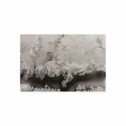 Hot Sale 🔔 Trademark Global Kurt Shaffer Photographs Intricate Ice Crystals On My Window Canvas Art - 27 X 33.5 Multi 🔥