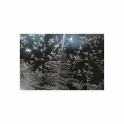 Deals 💯 Trademark Global Kurt Shaffer Photographs Ice Crystal Patterns On My Window Canvas Art - 36.5 X 48 Multi ❤️