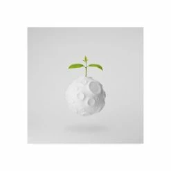 Brand new π₯ Trademark Global Jose Maria Frutos In My World Canvas Art - 15 X 20 Multi π§¨