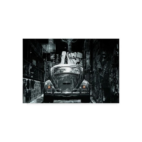 Flash Sale 👏 Trademark Global Stefan Eisele My First Love Canvas Art - 37 X 49 Multi 🎁