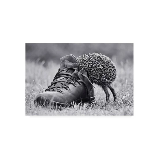 Best reviews of π₯° Trademark Global Elena Solovieva And Suddenly Its My Size Canvas Art - 20 X 25 Multi π