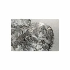 Buy π€© Trademark Global Kurt Shaffer Photographs Paisley Ice Patterns On My Window Canvas Art - 36.5 X 48 Multi βοΈ