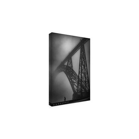 Coupon β Trademark Global Fernando Jorge Goncalves Dawn My Mists Canvas Art - 20 X 25 Multi π - Image 2