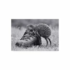 Best deal β€οΈ Trademark Global Elena Solovieva And Suddenly Its My Size Canvas Art - 37 X 49 Multi π