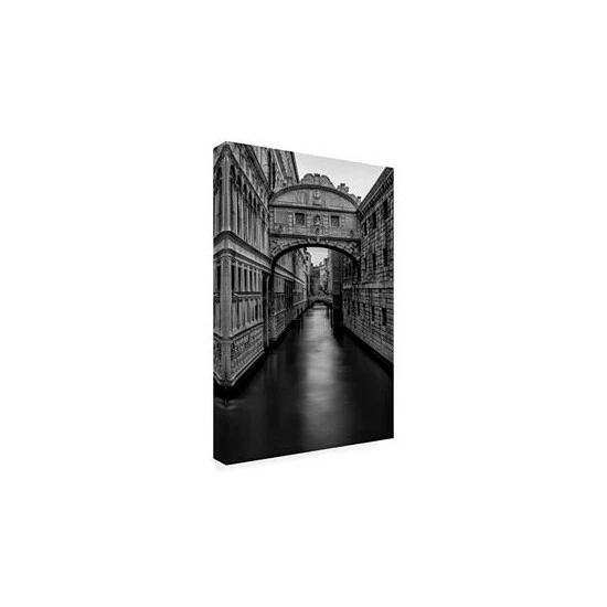 New ❤️ Trademark Global Danny Head B&W Bridge Of Sighs Canvas Art - 19.5 X 26 Multi ⭐ - Image 2